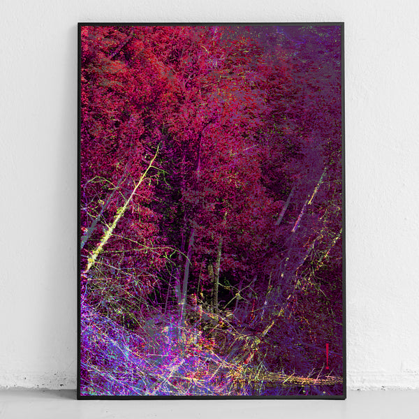 Bang Print. Harmony Lake.