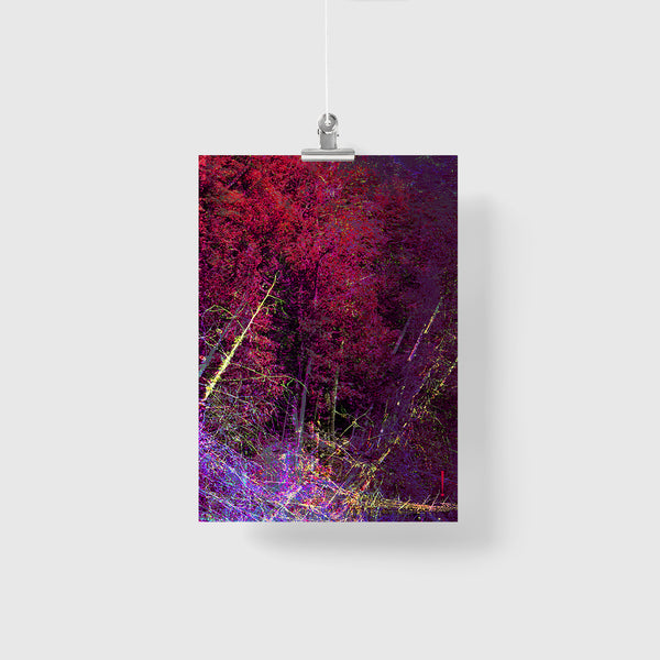 Bang Print. Harmony Lake.